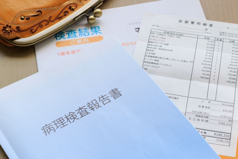 シンガポールの医療制度が育む健康と経済の未来